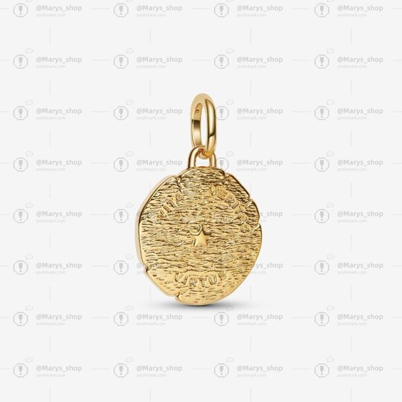 Pandora Lion Medallion Charm - Picture 2 of 6